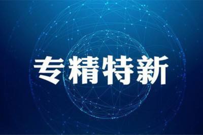 廣東省關(guān)于組織開(kāi)展2020年專(zhuān)精特新中小企業(yè)遴選工作的通知