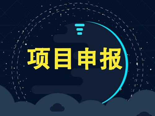 企業(yè)申請項(xiàng)目補(bǔ)貼成功率