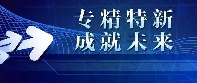 廣州市專精特新企業(yè)有什么補助