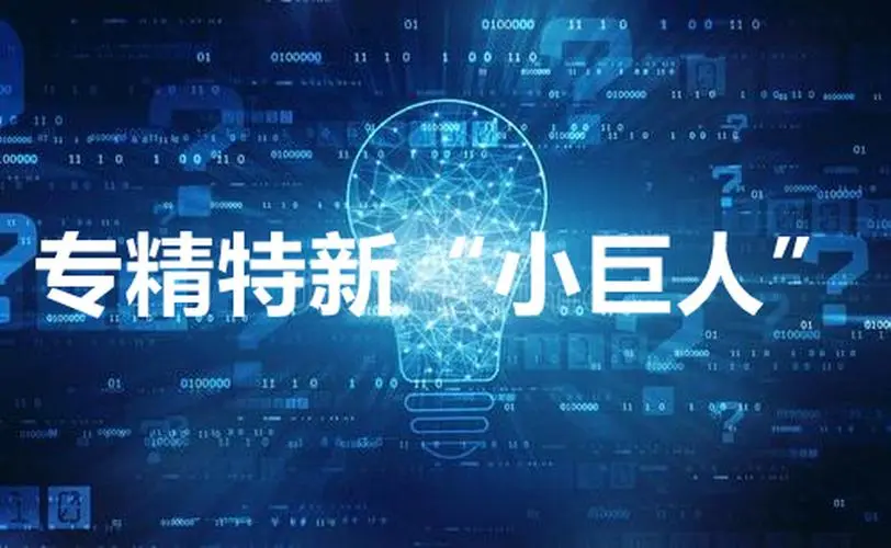 【詳細】專精特新企業(yè)申報流程、條件、領域