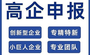 大型傳統(tǒng)企業(yè) - 東莞某能源科技有限公司